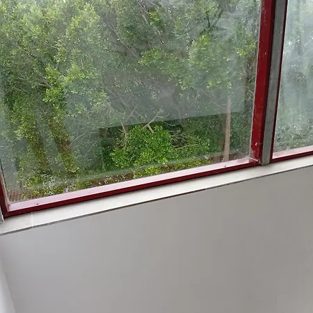 New 