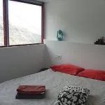New 