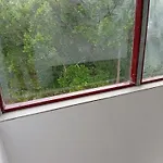 New 
